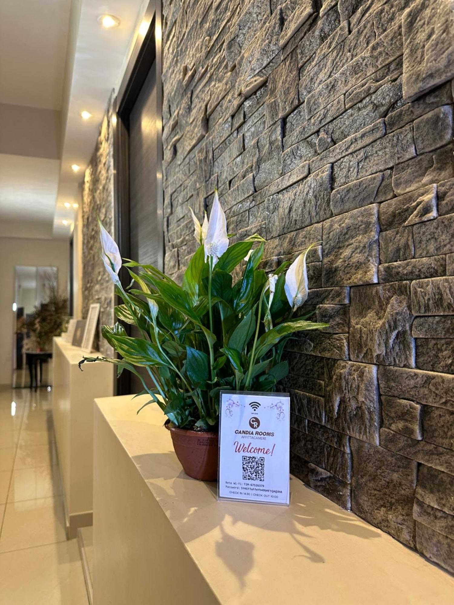 Candia Rooms Rome Exterior photo