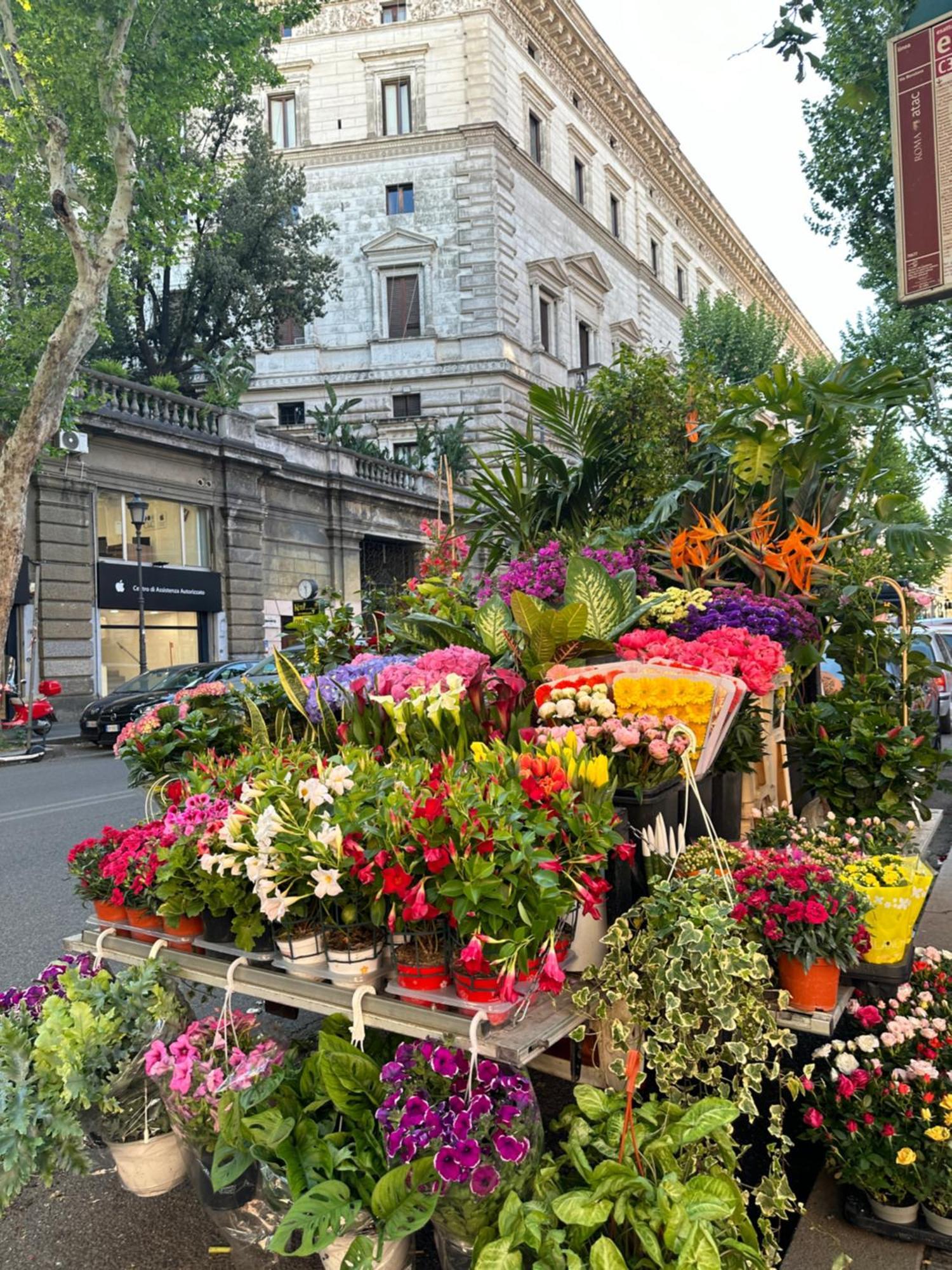 Candia Rooms Rome Exterior photo